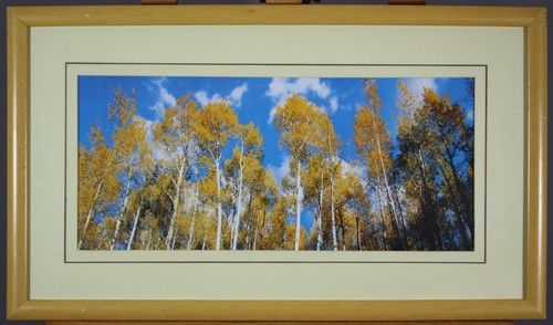 Framed photo autumn - of,